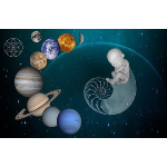 A Homeopathic Approach to Autoimmune Disorders - Part 2