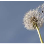 Facing the New Normal