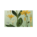 Homoeopathic Medicine