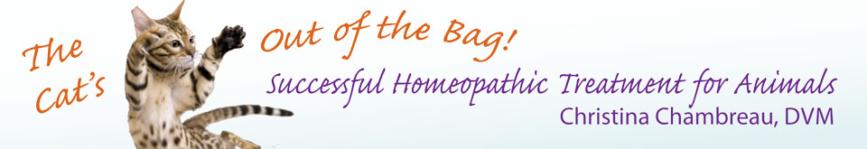 The Cat’s Out of the Bag