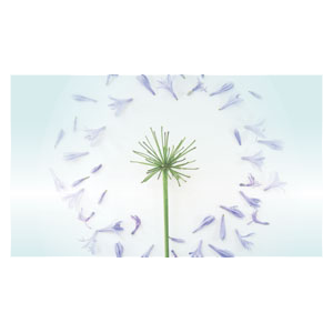 Narrative Health Coaching for Homeopaths