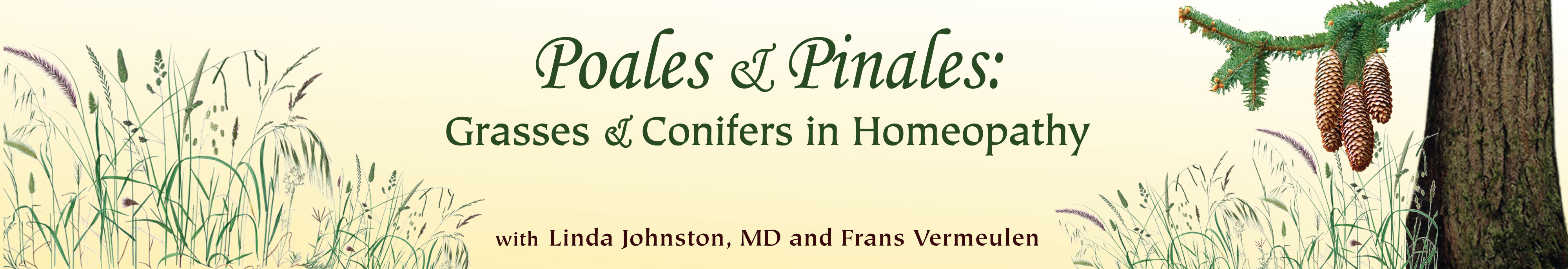 Poales & Pinales: Grasses & Conifers in Homeopathy