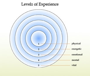 Levels of Experience